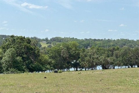 Terrain à vendre à Brooksville, Floride № 1831425 - photo 5