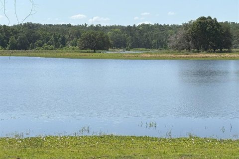 Terrain à vendre à Brooksville, Floride № 1831425 - photo 8