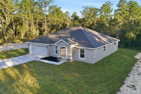 Villa ou maison à Citrus Springs, Floride 3 chambres, 169.64 m2 № 2436831