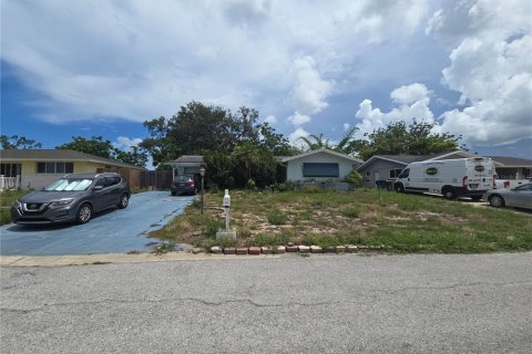 Villa ou maison à Port Richey, Floride 4 chambres, 162.76 m2 № 2150103