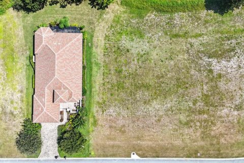 Land in Palm Coast, Florida № 1912084 - photo 6