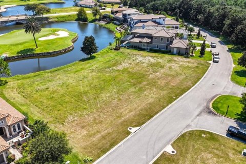 Land in Palm Coast, Florida № 1912084 - photo 3
