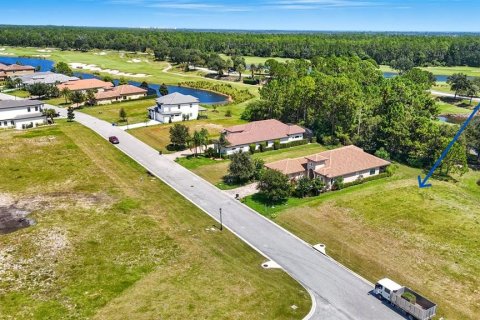 Land in Palm Coast, Florida № 1912084 - photo 10