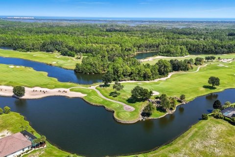 Land in Palm Coast, Florida № 1912084 - photo 14