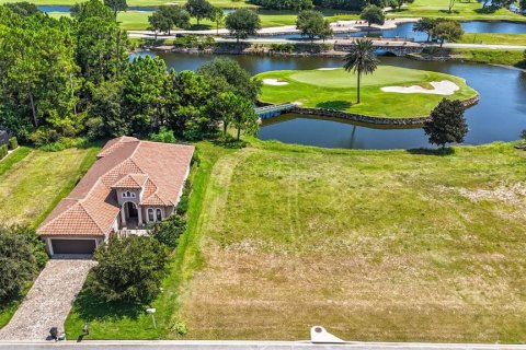 Land in Palm Coast, Florida № 1912084 - photo 1