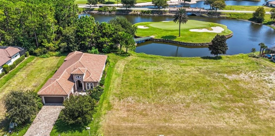 Land in Palm Coast, Florida № 1912084