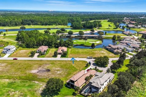Land in Palm Coast, Florida № 1912084 - photo 8