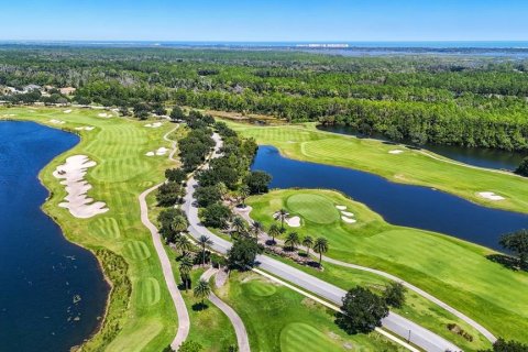 Land in Palm Coast, Florida № 1912084 - photo 13