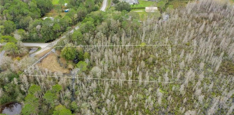 Land in Wesley Chapel, Florida № 1911642