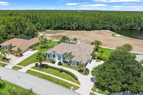 House in Lutz, Florida 4 bedrooms, 425.4 sq.m. № 1876795 - photo 4