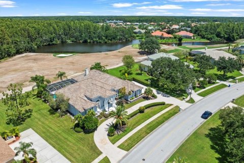 House in Lutz, Florida 4 bedrooms, 425.4 sq.m. № 1876795 - photo 3