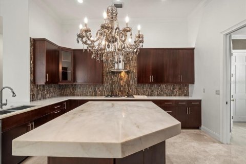 House in Lutz, Florida 4 bedrooms, 425.4 sq.m. № 1876795 - photo 25