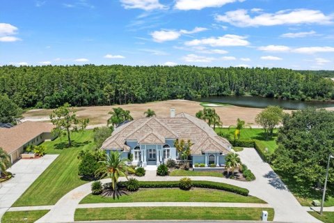 House in Lutz, Florida 4 bedrooms, 425.4 sq.m. № 1876795 - photo 2