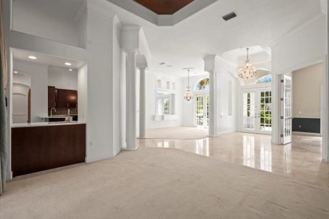 House in Lutz, Florida 4 bedrooms, 425.4 sq.m. № 1876795 - photo 19