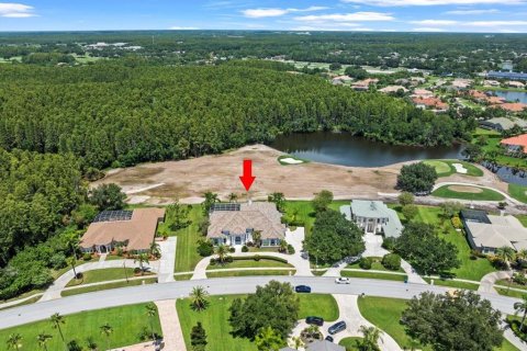 House in Lutz, Florida 4 bedrooms, 425.4 sq.m. № 1876795 - photo 6