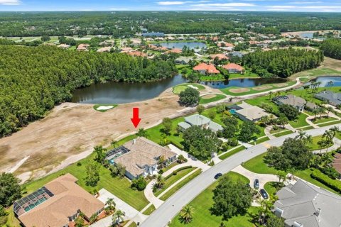 House in Lutz, Florida 4 bedrooms, 425.4 sq.m. № 1876795 - photo 7