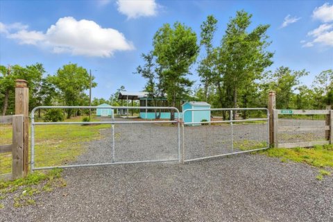 Land in Perry, Florida № 1776602 - photo 24