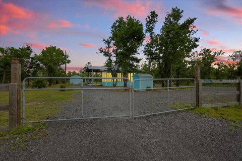 Land in Perry, Florida № 1776602 - photo 4