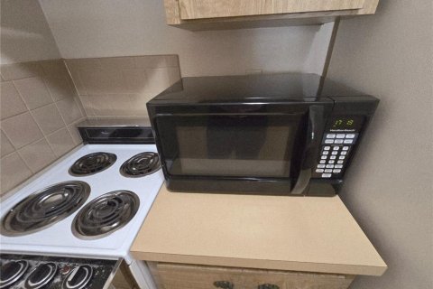 Condo in Tarpon Springs, Florida, 1 bedroom № 2348086 - photo 9