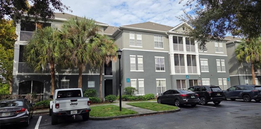 Studio à Condo à Tampa, Floride  № 2408229