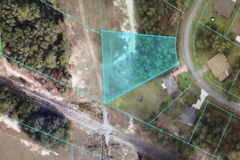 Land in Ocala, Florida № 2160980