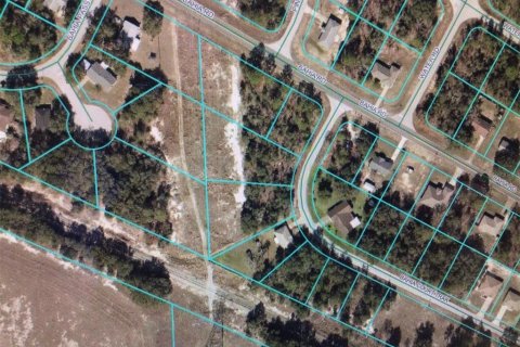 Terreno en venta en Ocala, Florida № 2160980 - foto 4