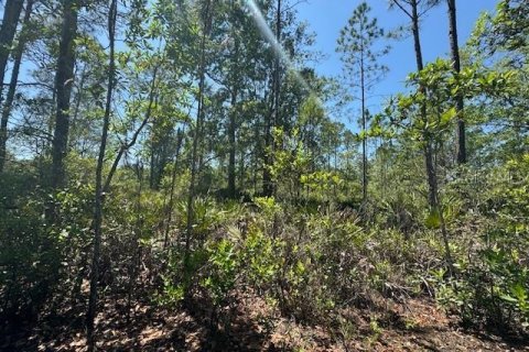 Land in Pierson, Florida № 2160185