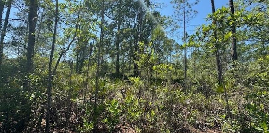 Land in Pierson, Florida № 2160185