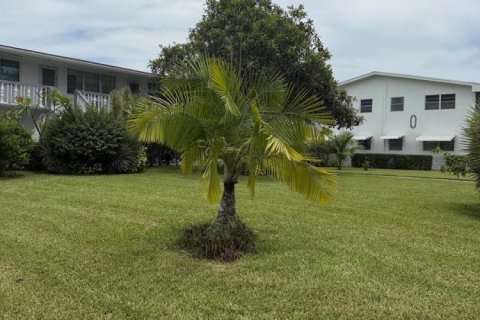 Condo à West Palm Beach, Floride, 1 chambre № 2289427