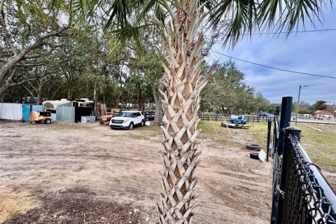Land in Apopka, Florida № 1535402 - photo 6