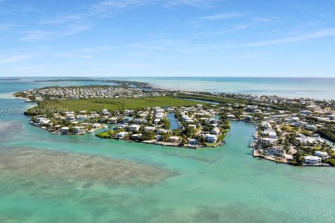 Villa ou maison à vendre à Islamorada, Village of Islands, Floride: 4 chambres № 1996197 - photo 10