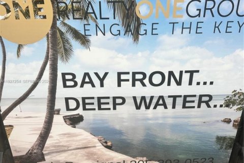 Villa ou maison à vendre à Islamorada, Village of Islands, Floride: 4 chambres № 1996197 - photo 3