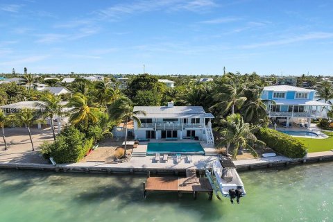 Villa ou maison à vendre à Islamorada, Village of Islands, Floride: 4 chambres № 1996197 - photo 11