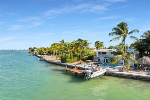 Villa ou maison à vendre à Islamorada, Village of Islands, Floride: 4 chambres № 1996197 - photo 13