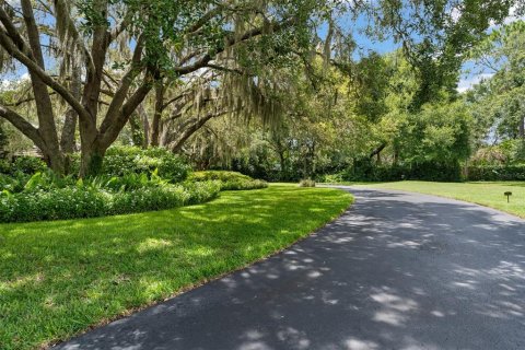 House in Longwood, Florida 10 bedrooms, 2388.15 sq.m. № 1886167 - photo 8