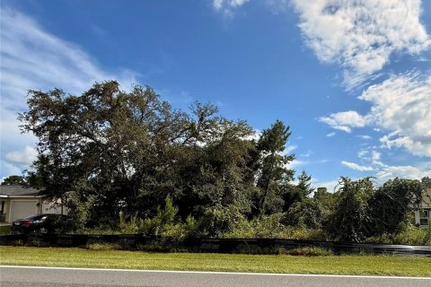 Land in Ocala, Florida № 2345479