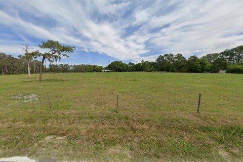 Land in Polk City, Florida № 2235306 - photo 2