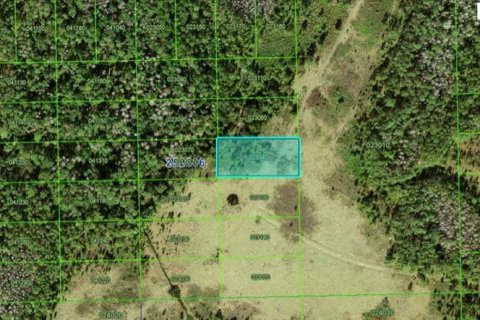 Land in Polk City, Florida № 2235306
