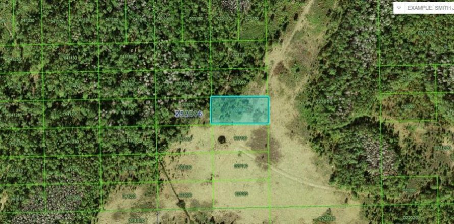 Land in Polk City, Florida № 2235306