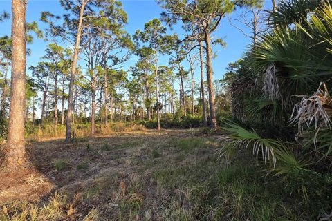 Terrain à vendre à Port Charlotte, Floride № 2213649 - photo 6