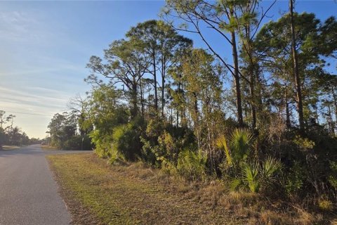 Land in Port Charlotte, Florida № 2213649