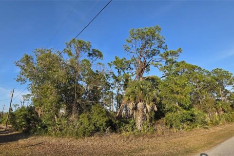 Terrain à vendre à Port Charlotte, Floride № 2213649 - photo 4