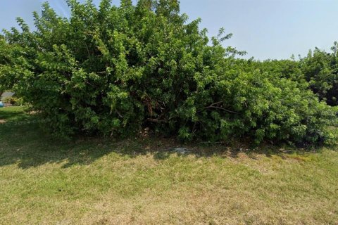 Land in Placida, Florida № 2294484