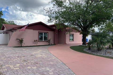 House in Tampa, Florida 4 bedrooms, 236.9 sq.m. № 2094827