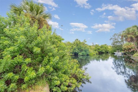 Land in Punta Gorda, Florida № 1908101 - photo 9