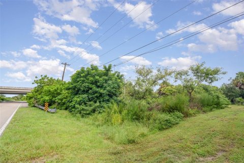 Land in Punta Gorda, Florida № 1908101 - photo 7