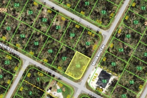 Land in Port Charlotte, Florida № 2162922 - photo 4