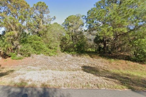 Land in Port Charlotte, Florida № 2162922 - photo 3