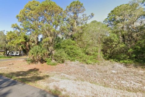 Land in Port Charlotte, Florida № 2162922 - photo 2