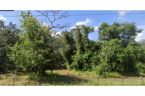 Terreno en venta en Spring Hill, Florida № 1912358 - foto 2